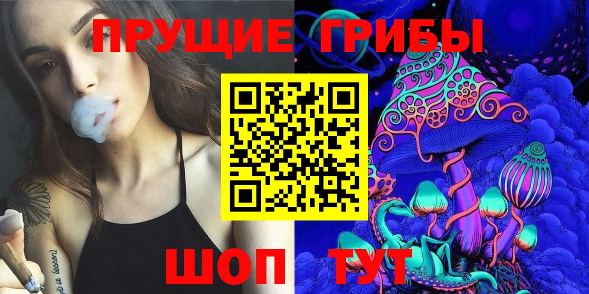 Псилоцибиновые грибы Cubensis Малоярославец